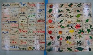 【ニッセイ緑の財団】「樹木名プレート」・「学校の木のしおり」の2025年度分の応募を受け付けております！